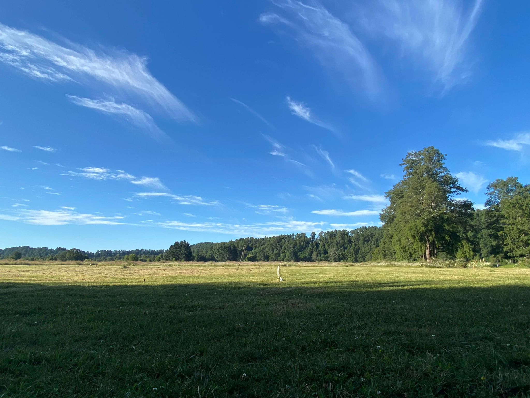Southern Chile landscape with mountains and lake
